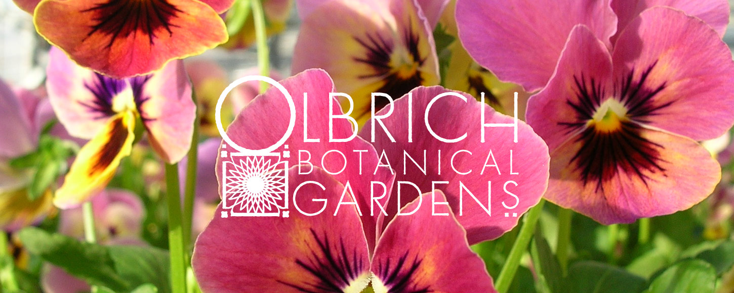 Olbrich Botanical Gardens Brand Design